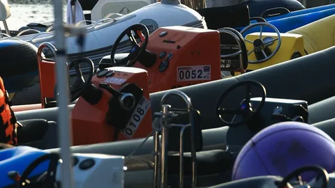 《第五人格》溯洄之旅：揭秘园丁暖冬记忆奇珍时装，游戏魅力大放送！🌟