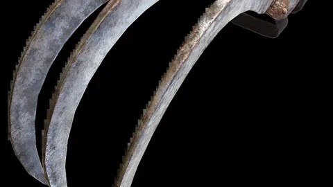 2026FIFA世界杯直播赛程 资讯 135152 u5l