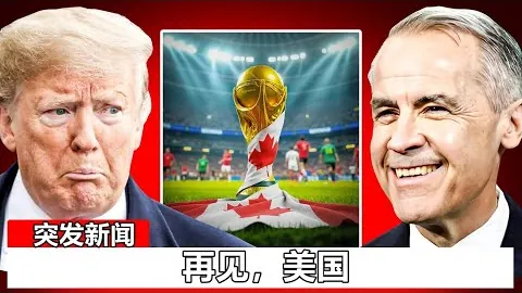 大乐透期号专家推荐：质合分析前区十码反制盗版策略